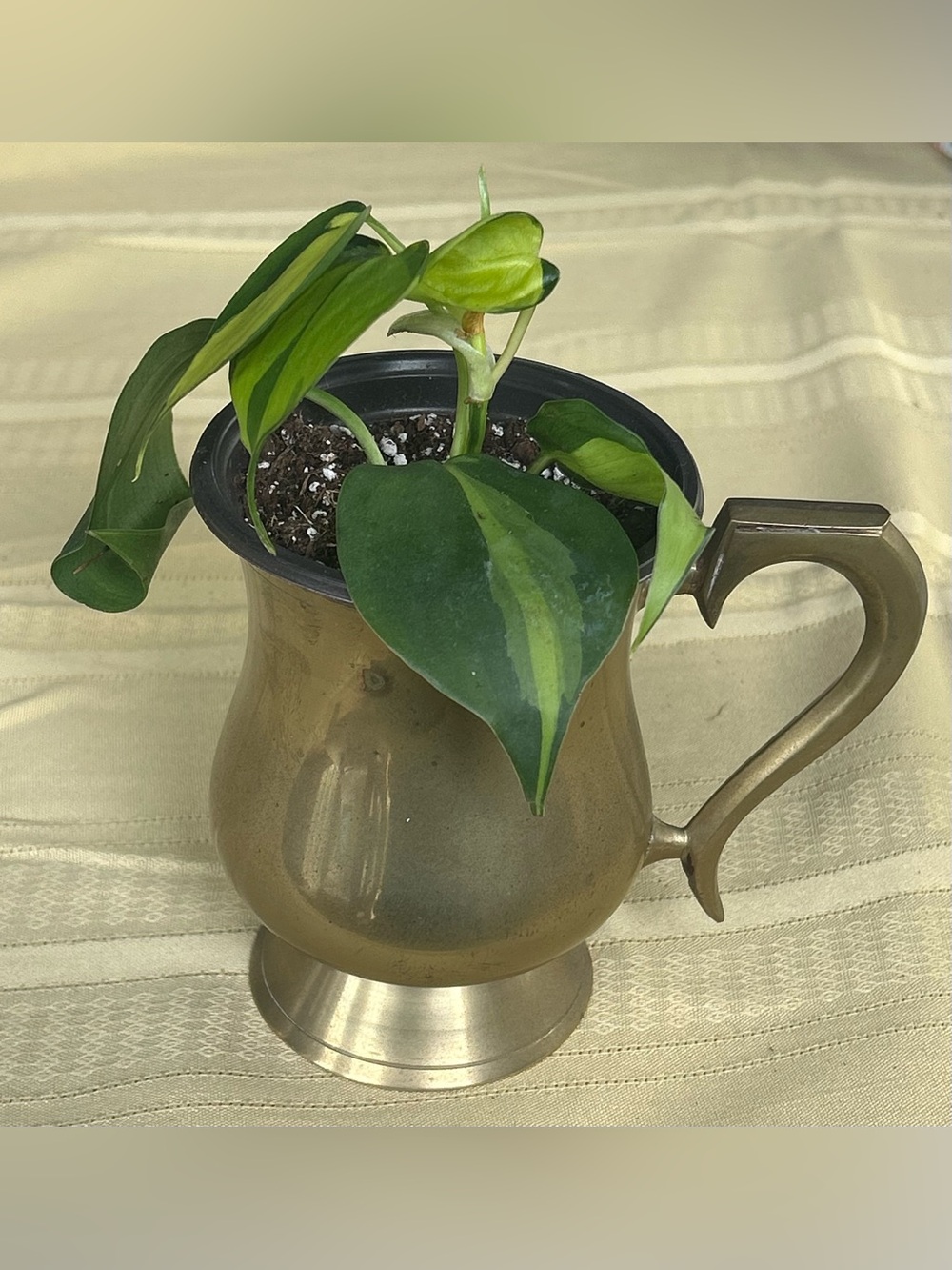 Vintage Enesco Solid Brass Tankard / Beer Stein